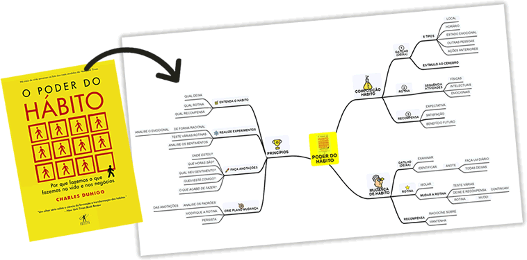 resumo livro mapa mental exemplo